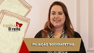 Explica Direito Filiação Socioafetiva  2019 [upl. by Berne]