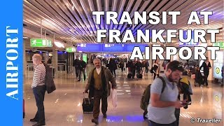 TRANSIT WALK AT FRANKFURT Airport FRA Terminal 1  Connection Flight Transfer Arriving amp Departing [upl. by Arreis513]